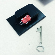 Load image into Gallery viewer, Skeleton Key Switches